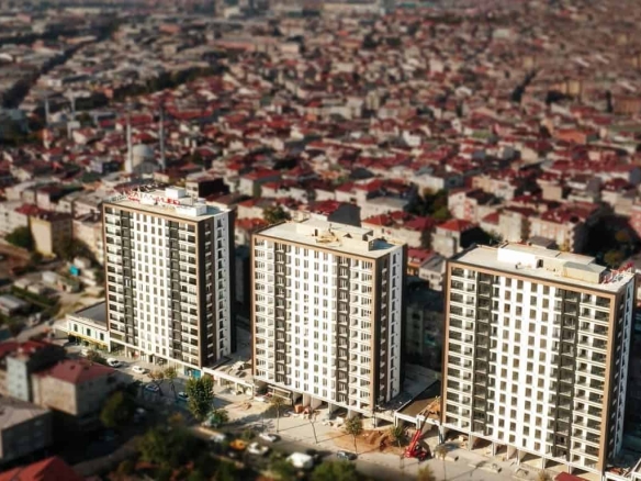 |||||||||||||||||||||