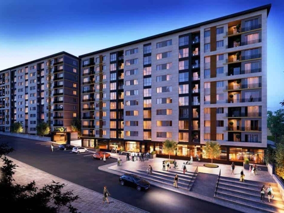 |||||||||||||||||||||